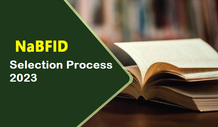 NaBFID Selection Process 2023
