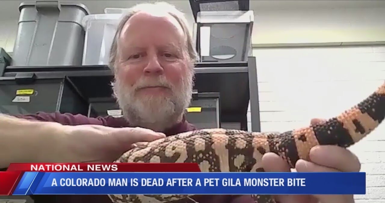 Pet Gila monster bites Colorado Man