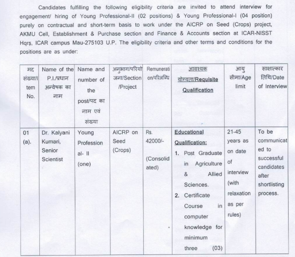 NISST Young Professional Recruitment 2025