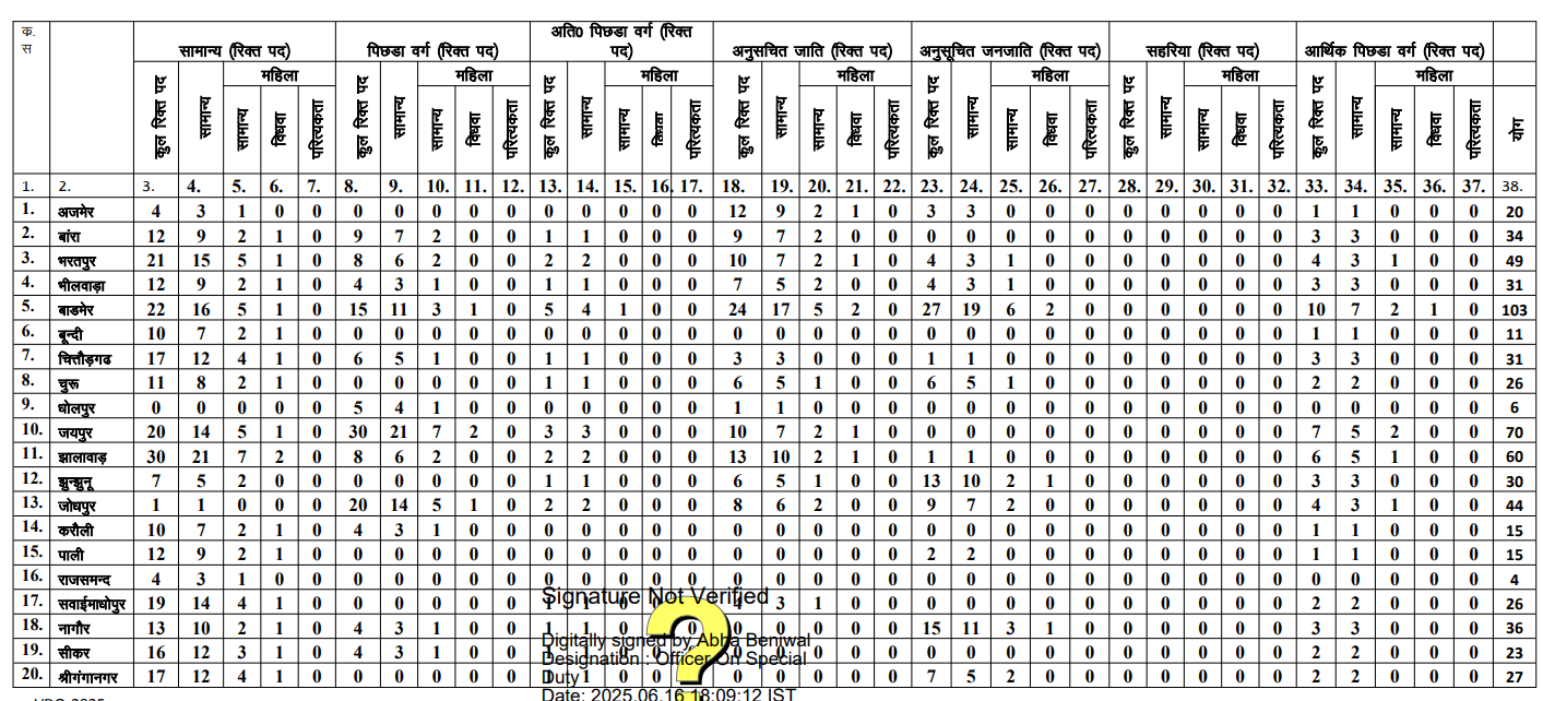 Rajasthan RSSB VDO Recruitment 2025